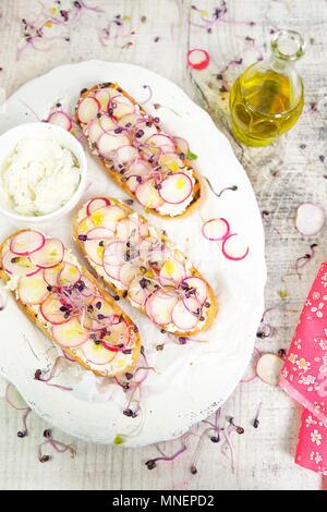 Bruschetta con Robiola formaggio, olive, ravanelli e germogli di rafano Foto Stock