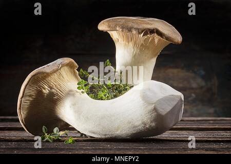 Due funghi freschi e di timo Foto Stock