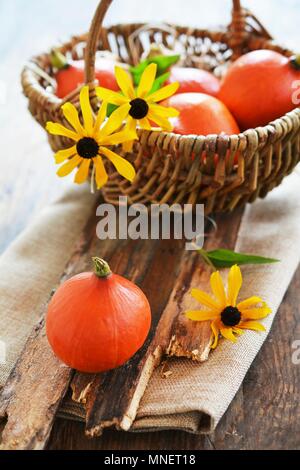 Piccolo hokkaido zucche in un cestino con fiori Foto Stock