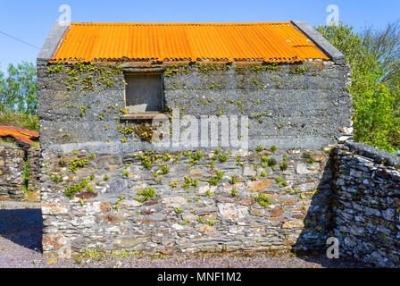 Rusty ondulato tetto stagno sulla parte superiore di una pietra costruito il fienile in Irlanda. Foto Stock
