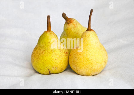 Tre gialli di pere Foto Stock