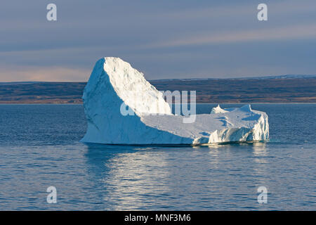 Distintivo off iceberg di un telecomando costa nella baia di Isabella del Ninginganiq National Wildlife Area sull Isola Baffin in Nunavut, Canada Foto Stock