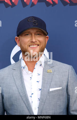 53Accademia annuale dei premi di musica country 2018, tenutosi al MGM Grand Garden Arena all'interno del MGM Grand Hotel & Casino di Las Vegas, Nevada. Dotato di: Cole Swindell dove: Las Vegas, Nevada, Stati Uniti quando: 15 Apr 2018 Credit: DJDM/WENN.com Foto Stock