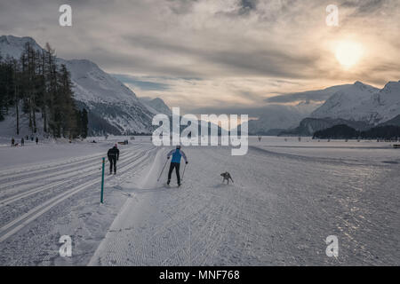 Sci di fondo a Sils Foto Stock