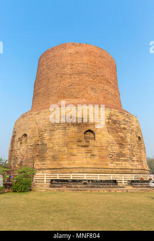 Il Dhamekh stupa di Sarnath, Varanasi, Uttar Pradesh, India Foto Stock