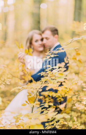Il ingiallito le foglie degli alberi a sfocare lo sfondo degli sposi. Foto Stock
