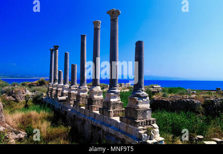 Resti di antiche colonne in corrispondenza al Mina sito dello scavo,pneumatico, Libano Foto Stock