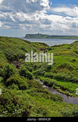 Nella bella e verde Inghilterra. Sole estivo Scalby luci Beck come esso fluisce in Scarborough North Bay. Foto Stock