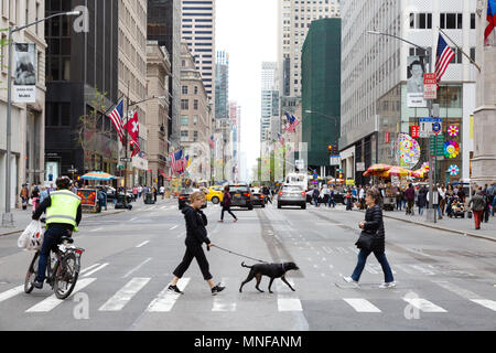 Fifth Avenue di New York - i pedoni, passeggiate con il cane e il ciclista attraversando la Quinta Avenue di New York City, Stati Uniti d'America Foto Stock