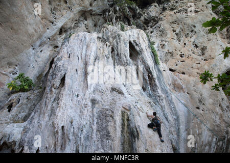 Turisti e visitatori di vivere lo sport arrampicata sulle rocce calcaree di Thailandia Railey Beach. Foto Stock