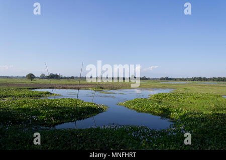 Majuli Island, Assam, India Foto Stock