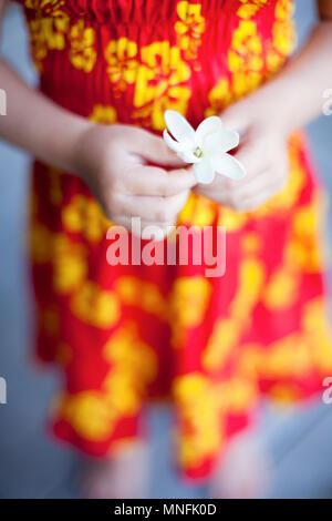 Close up della bambina tenendo il tahitiano tiarè fiore Foto Stock