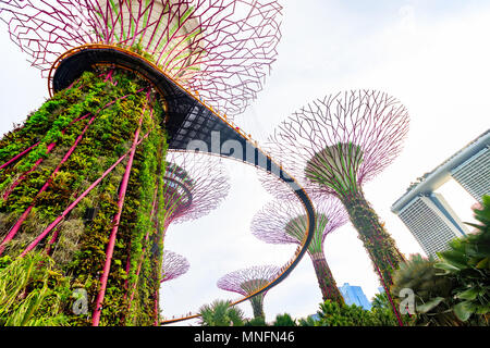 Singapore - Agosto 09, 2017: La Supertrees presso i giardini dalla Baia di Singapore Foto Stock