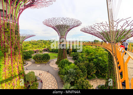 Singapore - Agosto 09, 2017: La Supertrees presso i giardini dalla Baia di Singapore Foto Stock