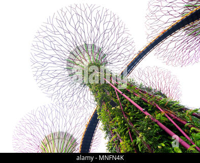 Singapore - Agosto 09, 2017: La Supertrees presso i giardini dalla Baia di Singapore Foto Stock
