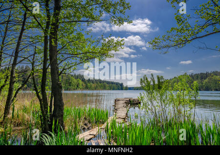 La sponda del lago Pluszne, warmian-masurian provincia, Polonia. Foto Stock