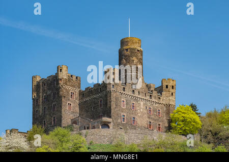 Maus Castello o castello del mouse si trova sul fiume Reno in Germania. Foto Stock