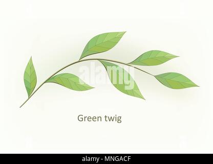 Vettore Handdrawn stile acquarello, natura illustrazione. Imitazione di acquerelli, isolato su bianco. Illustrazione Vettoriale