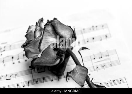 Foglio di musica e di morti. L'idea del concetto per amore della musica per ispirazione musicale. Foto Stock