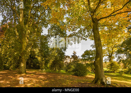 Vista della casa Batsworth, una simulazione vittoriana in stile Tudor country house, Batsford Park, Moreton-in-Marsh, Gloucestershire attraverso la quercia woodland Foto Stock