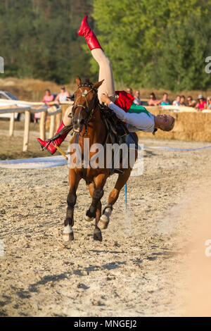 Tradizionale ungherese cavallo mostra in un piccolo villaggio Vonyarcvashegy, 18. 08. 2013 Ungheria Foto Stock