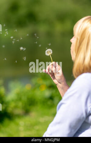 Donna con capelli biondi semi di soffiaggio in aria da un soffio di tarassaco-ball in una giornata di sole. Foto Stock