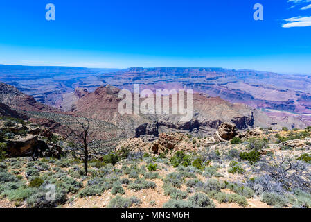 La magnifica vista del deserto vista torre di avvistamento da Lipan Point nel Grand Canyon, Arizona, Stati Uniti d'America Foto Stock