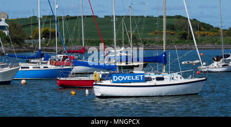 Il Dovelet e altri yacht ormeggiati in porto Groomsport Foto Stock