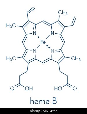 Eme B (EME B) molecola. Eme è un componente essenziale della emoglobina, mioglobina, citocromo, catalasi e altre metalloproteine. Formula di scheletro. Illustrazione Vettoriale