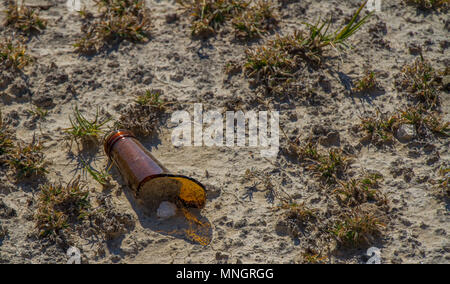 Collo di rotto una bottiglia di vetro scartato in natura immagine con spazio copia in formato orizzontale Foto Stock