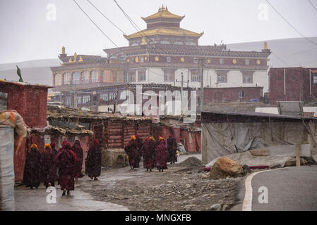 Il Tibetano monache passeggiate nella neve, Yarchen Gar, Sichuan, in Cina Foto Stock