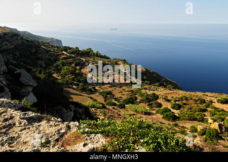 Il punto più alto di Malta a Dingli Cliffs Foto Stock