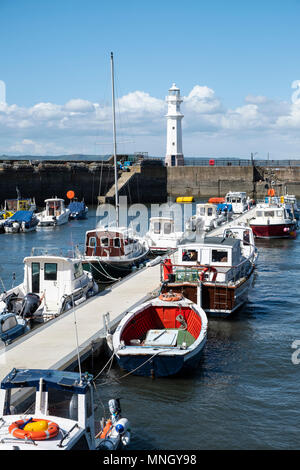Barche nel porto sul Firth of Forth a Newhaven a Edimburgo, Scozia, Regno Unito Foto Stock