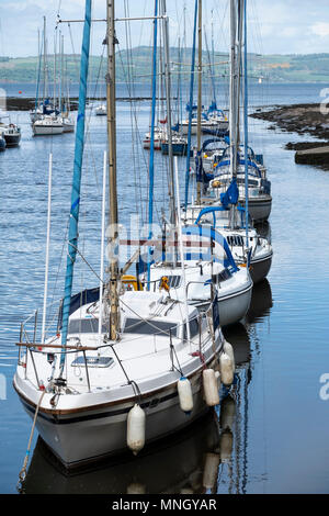 Fila di yacht a vela ormeggiato sul fiume a mandorla Cramond ad Edimburgo, Scozia, Regno Unito Foto Stock