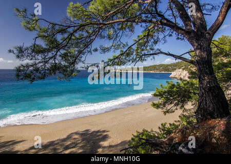 Colorato alba mediterranea sul mare con onde bianco vicino alla riva di sabbia Foto Stock