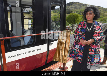 Dame Shirley Bassey nomi a Snowdon Mountain carrello ferroviario dopo di sé a Llanberis Stazione, Gwyned, di riconoscere il cantante di 65 anni di carriera come un ambasciatore internazionale per il Galles. Foto Stock