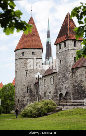 Tallinn, Estonia - 23 Maggio 2008: la fortificazione torri in città theTallinn parete, Estonia. Foto Stock