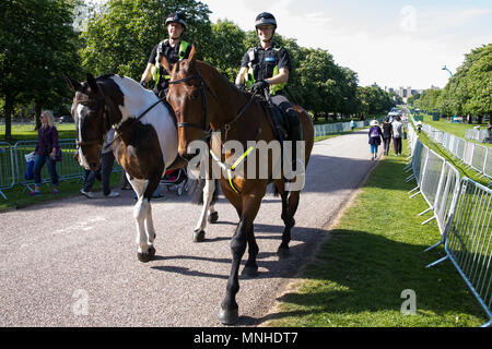 Windsor, Regno Unito. Il 17 maggio 2018. Montate i funzionari di polizia pattugliano la lunga passeggiata in Windsor Great Park in anticipo di sabato il royal wedding tra il principe Harry e Meghan Markle. Credito: Mark Kerrison/Alamy Live News Foto Stock