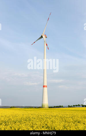 Turbina eolica in una fioritura di canola field Foto Stock