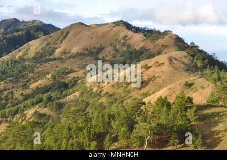 Cordillera Regione, Mount Ulap o cloud di montagna si trova in Ampucao, Itogon, Benguet con una elevazione del 1846 masl Foto Stock