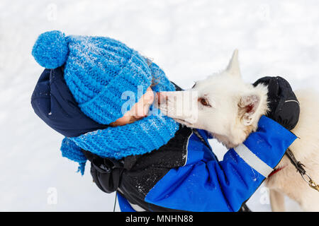 Adorabile bambina avente una coccola con husky sled dog in Lapponia, Finlandia Foto Stock