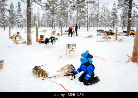 Adorabile bambina avente una coccola con husky sled dog in Lapponia, Finlandia Foto Stock