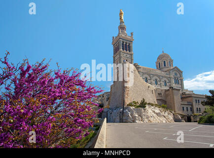 La cattedrale di Notre Dame de la Garde, chiesa di pellegrinaggio e punto di riferimento della città, Marsiglia, Bouches-du-Rhone, Provence-Alpes-Côte d'Azur, in Francia Foto Stock