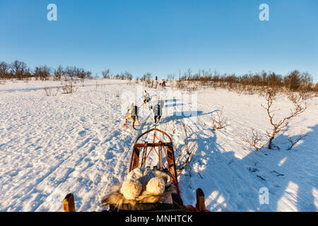 Cani Husky sono tirando la slitta con famiglia sulla soleggiata giornata invernale nel nord della Norvegia Foto Stock