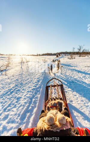 Cani Husky sono tirando la slitta con bambina sulla soleggiata giornata invernale nel nord della Norvegia Foto Stock