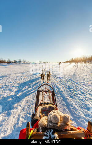Cani Husky sono tirando la slitta con bambina sulla soleggiata giornata invernale nel nord della Norvegia Foto Stock