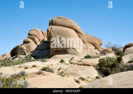 Faccia indiano Rock, rock Monzogranite pila, Aplitic vene, Jumbo Rocks, Joshua Tree National Park, CA 040410 0701 Foto Stock