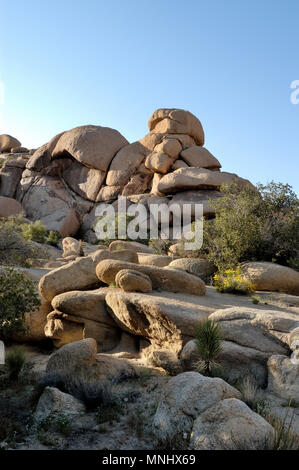 Monzogranite pila di rocce, Barker Dam nature trail. Big Horn Dam, Joshua Tree National Park, CA 040410 0726 Foto Stock