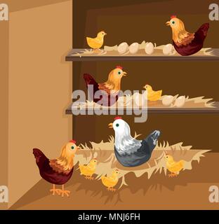 La nidificazione di pollo in un vettore coop. Ecologico gamma gratuito animali in crescita Illustrazione Vettoriale