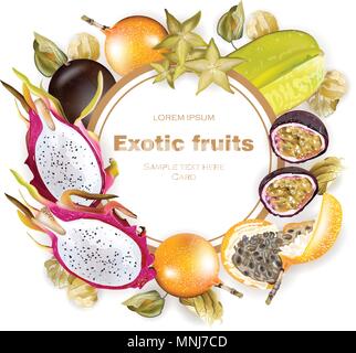 Frutta esotica cornice rotonda realistica del vettore. Dragon frutta, granadilla, passione Frutta, starfruit, physalis Illustrazione Vettoriale